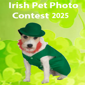 2025 Irish Pet Contest